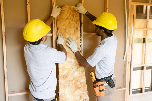 Best Wall Insulation Installation  in Hamburg, AR